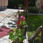 Βίλα Amani *