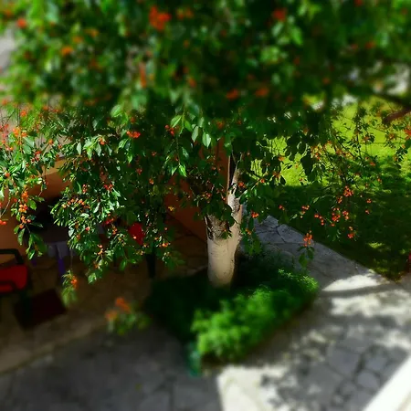 Amani Βίλα Σαράγεβο