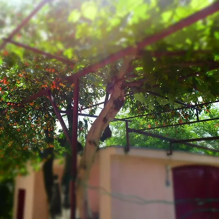 Amani Villa